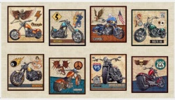 Easy Rider Motorcycle - Panel 